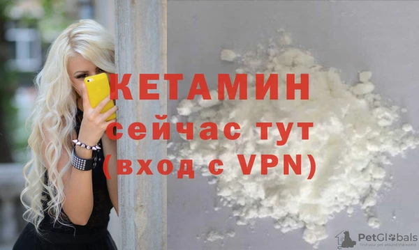 прущие грибы Корсаков