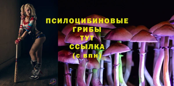 первитин Коряжма