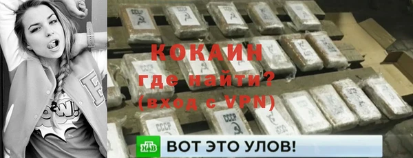 прущие грибы Корсаков