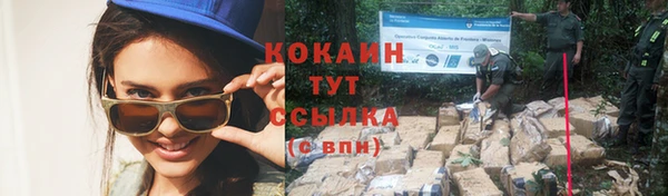 прущие грибы Корсаков