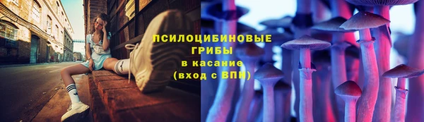первитин Коряжма