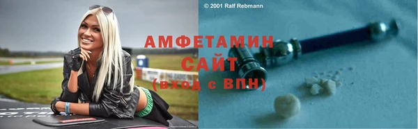 прущие грибы Корсаков