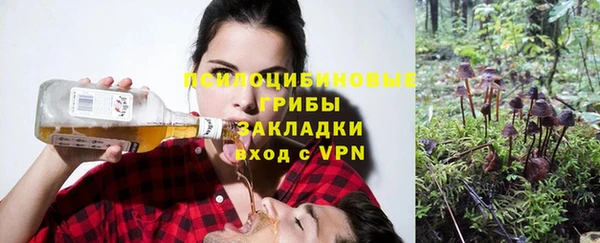 первитин Коряжма